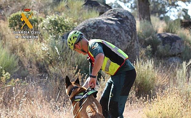 Imagen de un dispositivo de búsqueda anterior. 