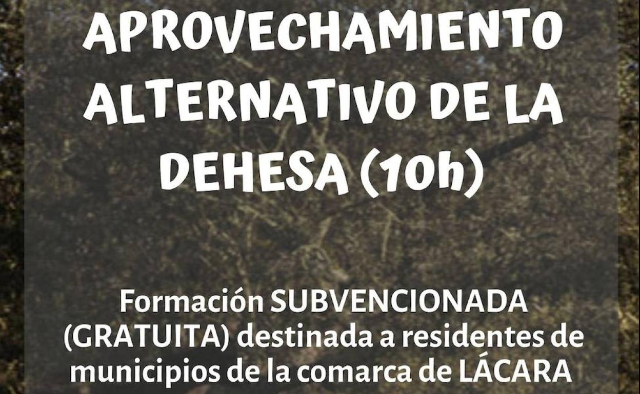 Cartel anunciador del curso