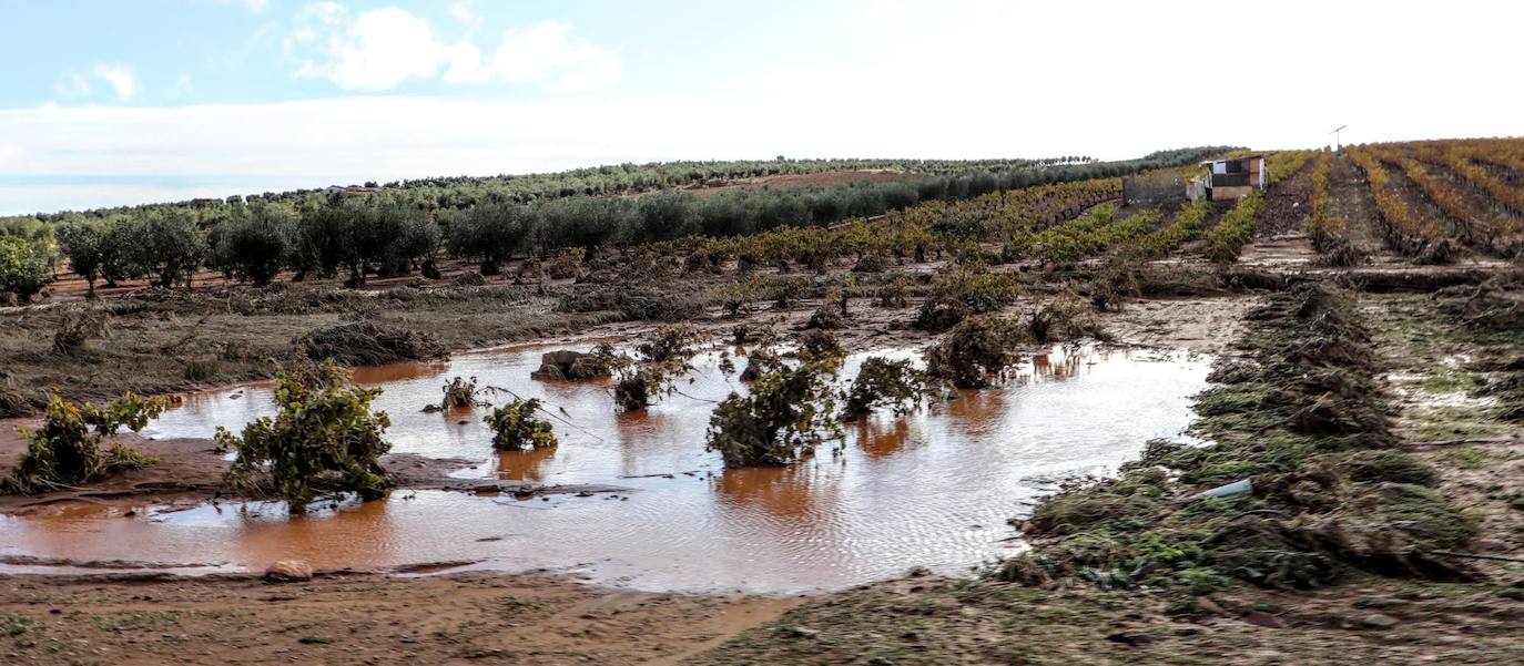 Desborde del arroyo de Valdemedel en Ribera del Fresno