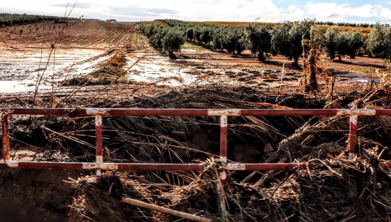 Desborde del arroyo de Valdemedel en Ribera del Fresno