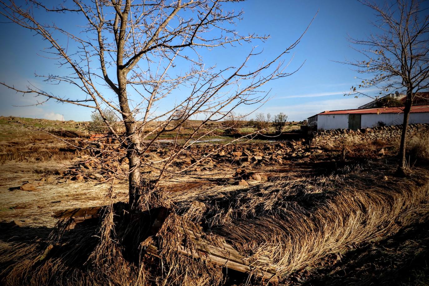 Desborde del arroyo de Valdemedel en Ribera del Fresno