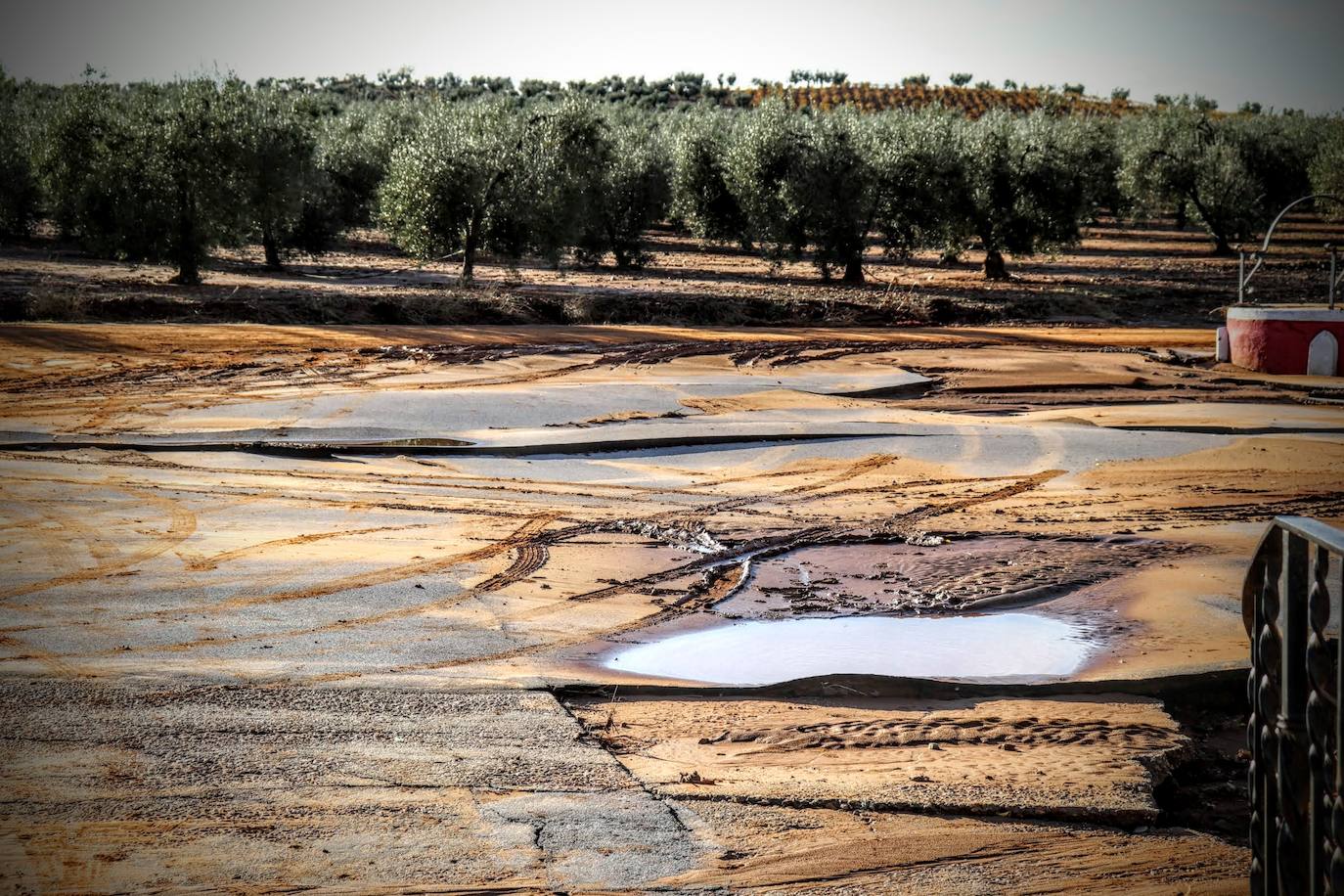 Desborde del arroyo de Valdemedel en Ribera del Fresno