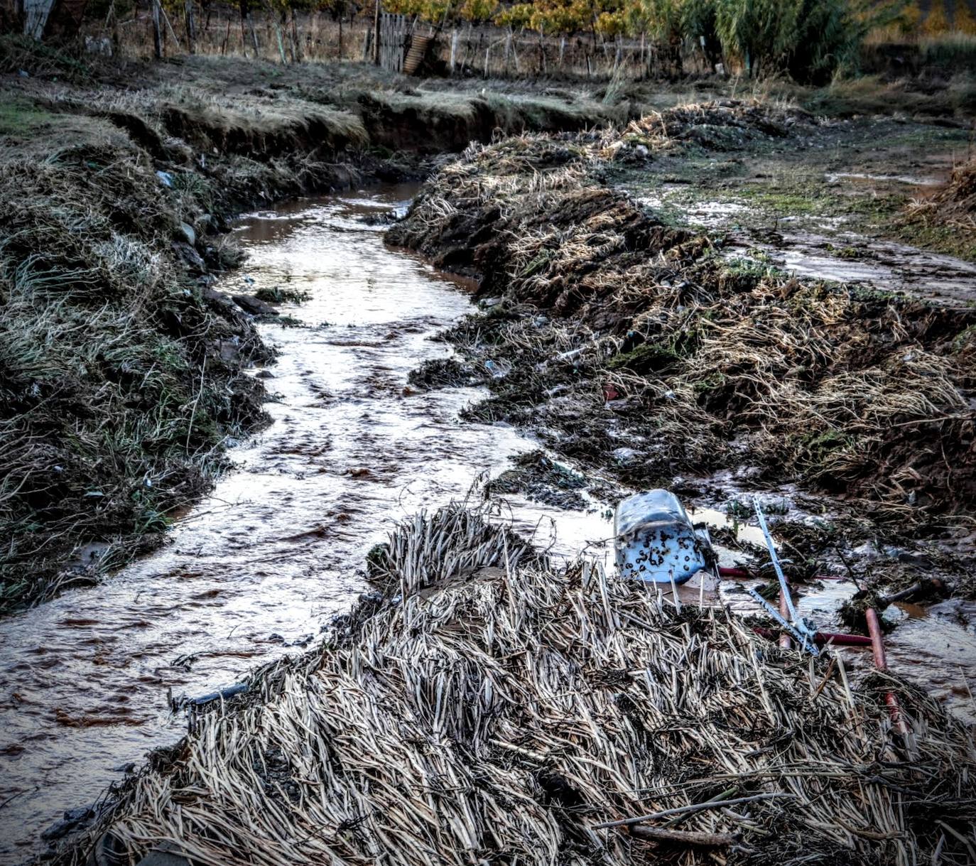 Desborde del arroyo de Valdemedel en Ribera del Fresno