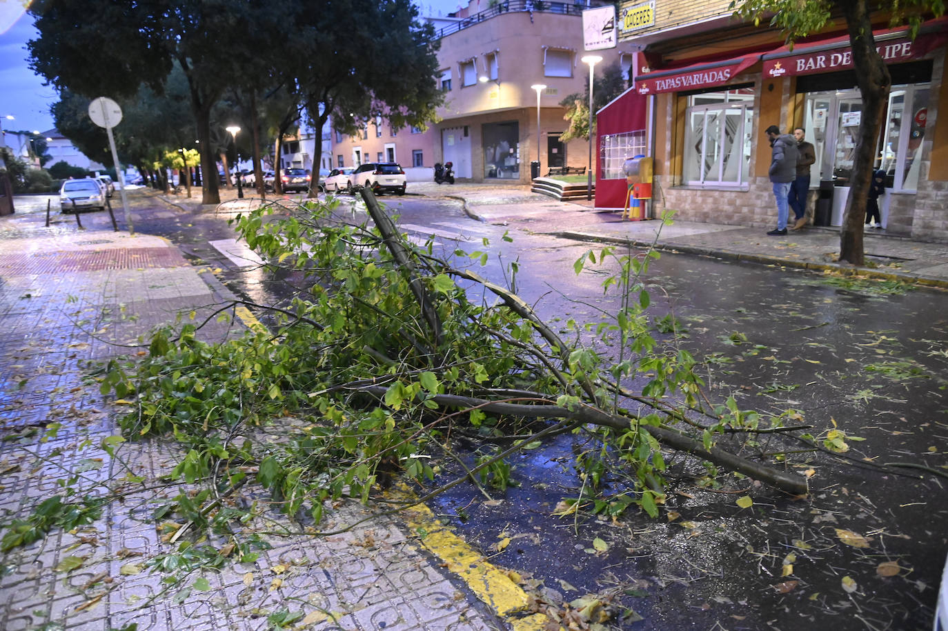 Fotos: Destrozos provocados por el vendaval registrado este viernes