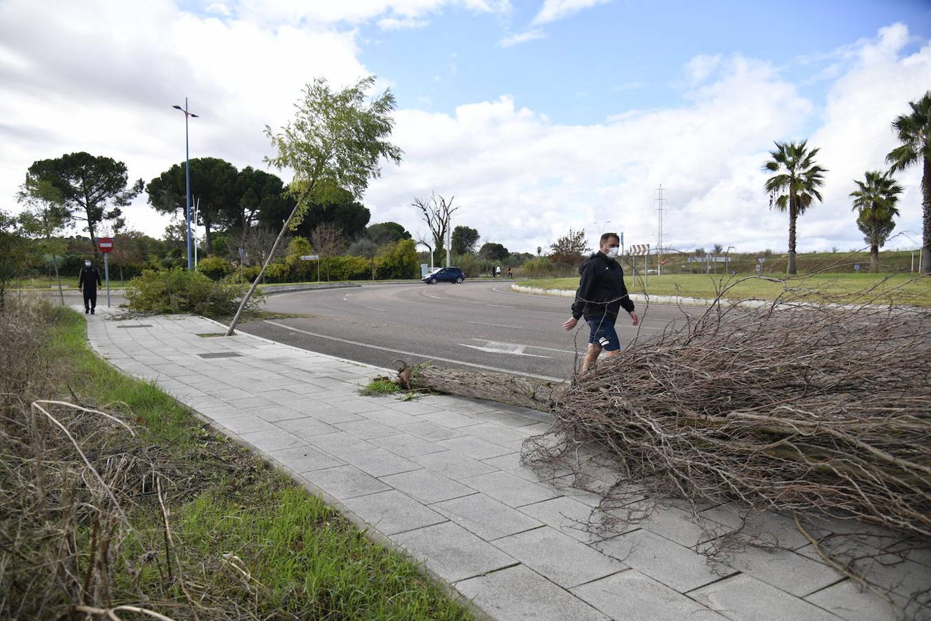 Fotos: Destrozos provocados por el vendaval registrado este viernes