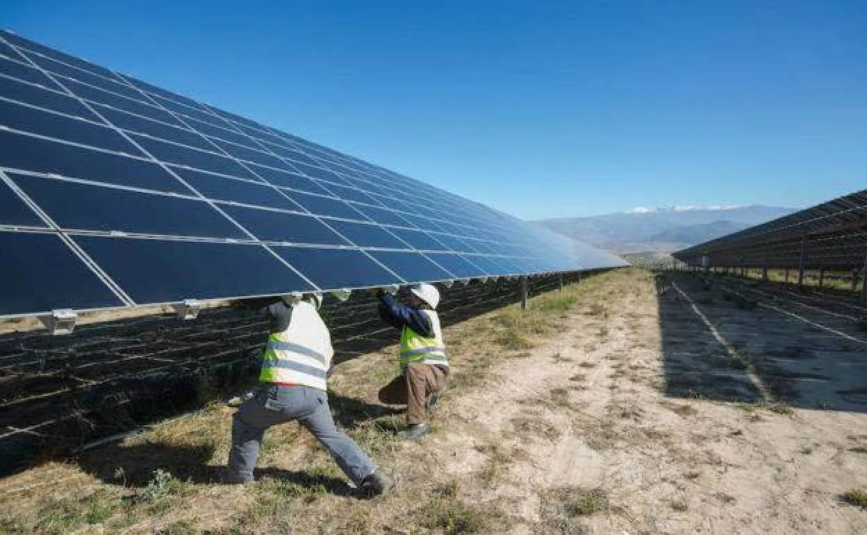 Trabajadores colocan placas solares en una planta fotovoltaica. 