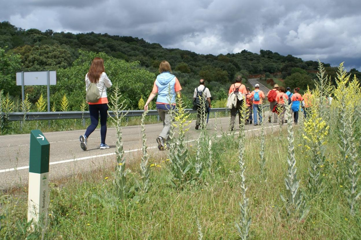 Vista de la carretera que se va a reparar. 