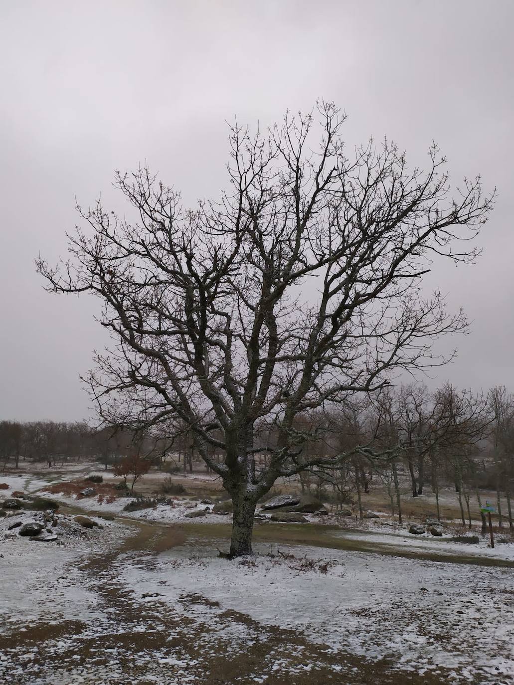 Nieve en el entorno de Piornal, el pueblo más alto del Valle del Jerte y de toda la región