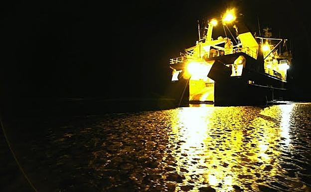 Los seres vivos que durante millones de años se adaptaron a la noche polar de repente se han visto expuestos a luz artificial. 