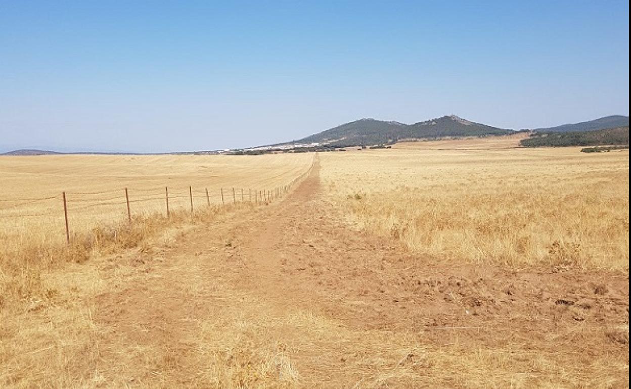 Lugar donde se ubicará la instalación. 