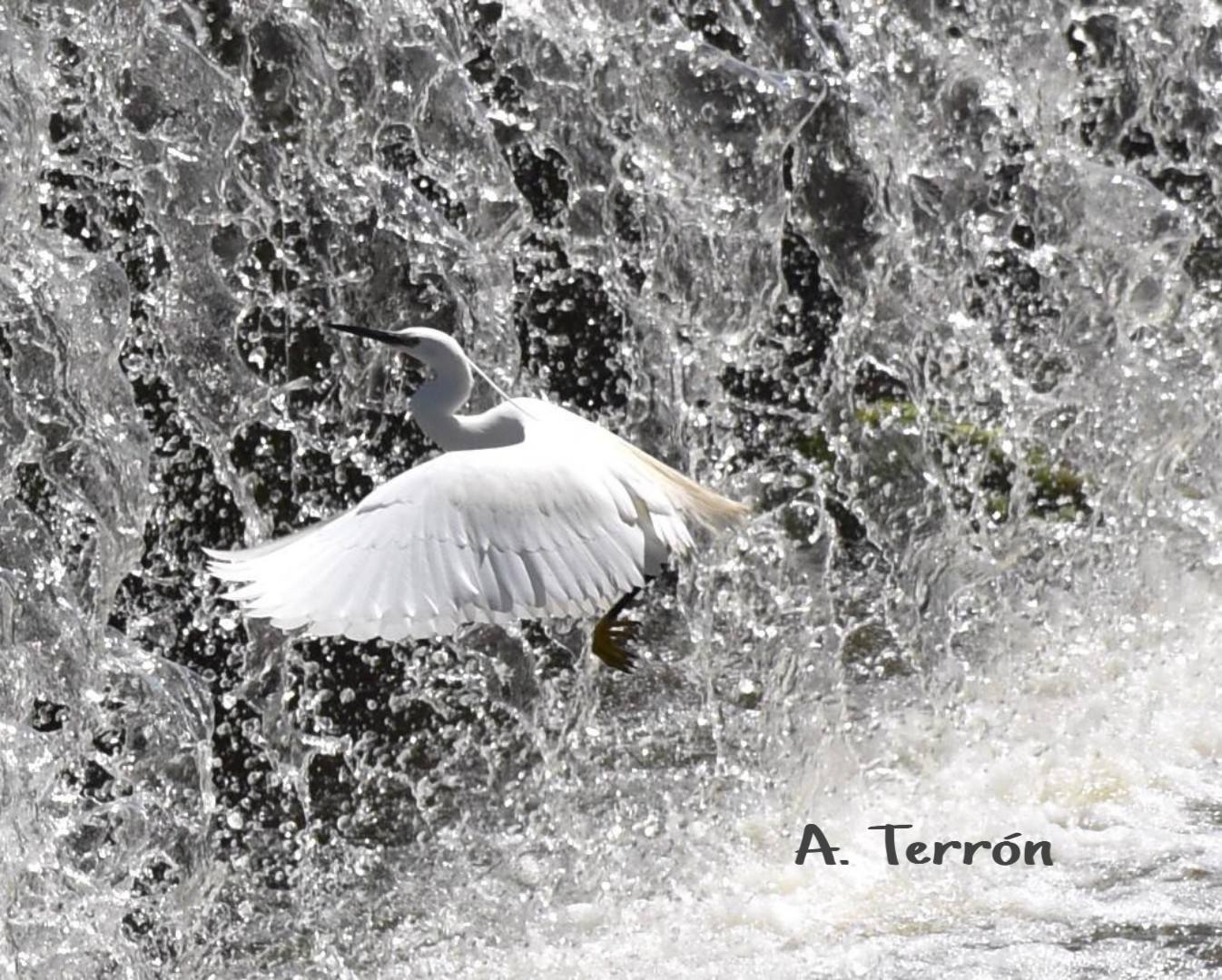 Fotos: Guadiana, el río que nos une (I)