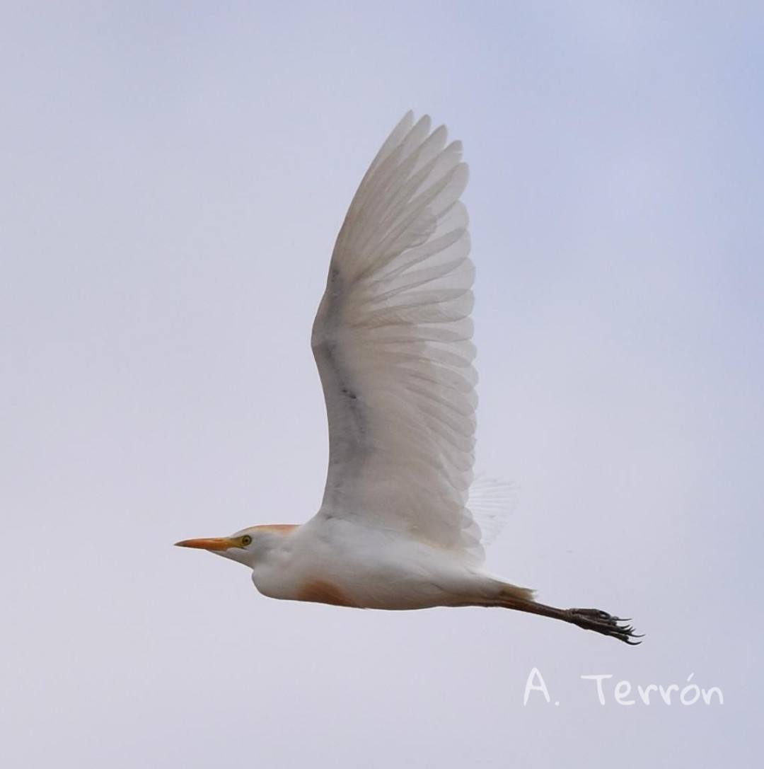 Fotos: Guadiana, el río que nos une (I)