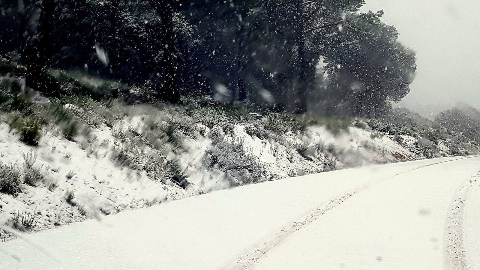 Helechosa de los Montes