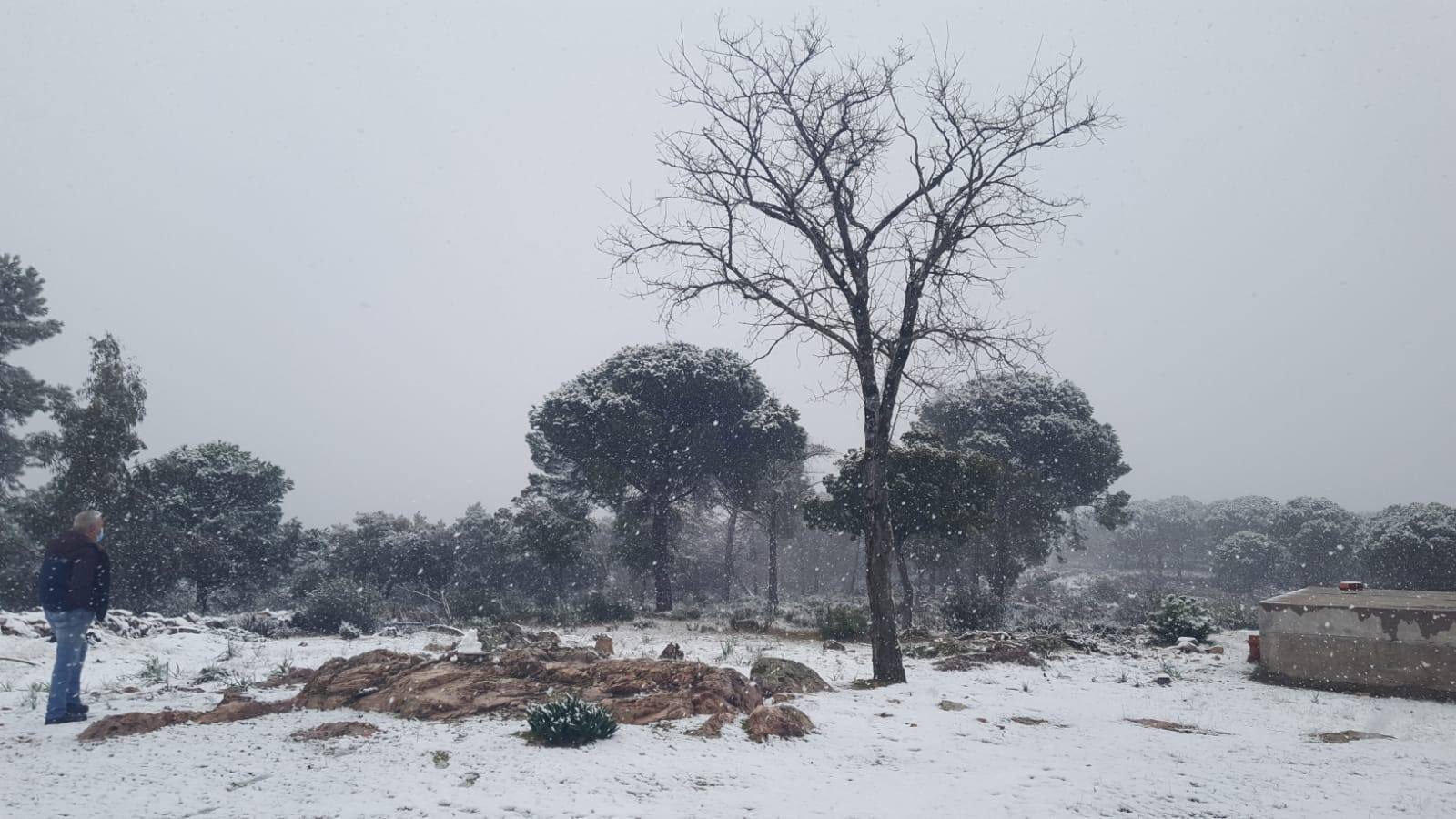 Helechosa de los Montes