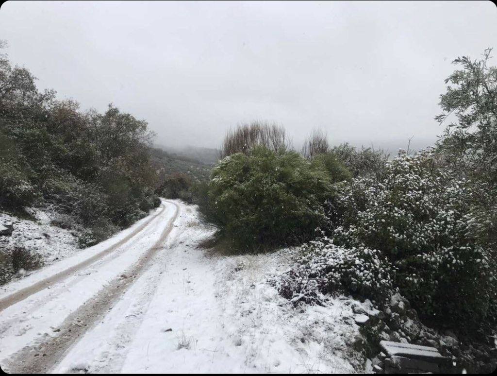 Nieve en la Finca El Dehesón. Charca de la finca al lado De la Fuente Potargo