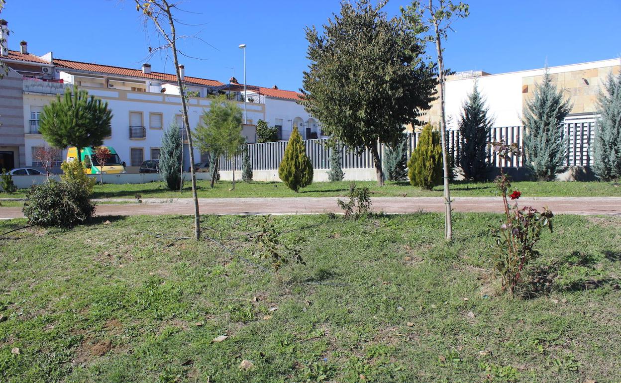 Plantas en Parque Juan Ignacio Zoido