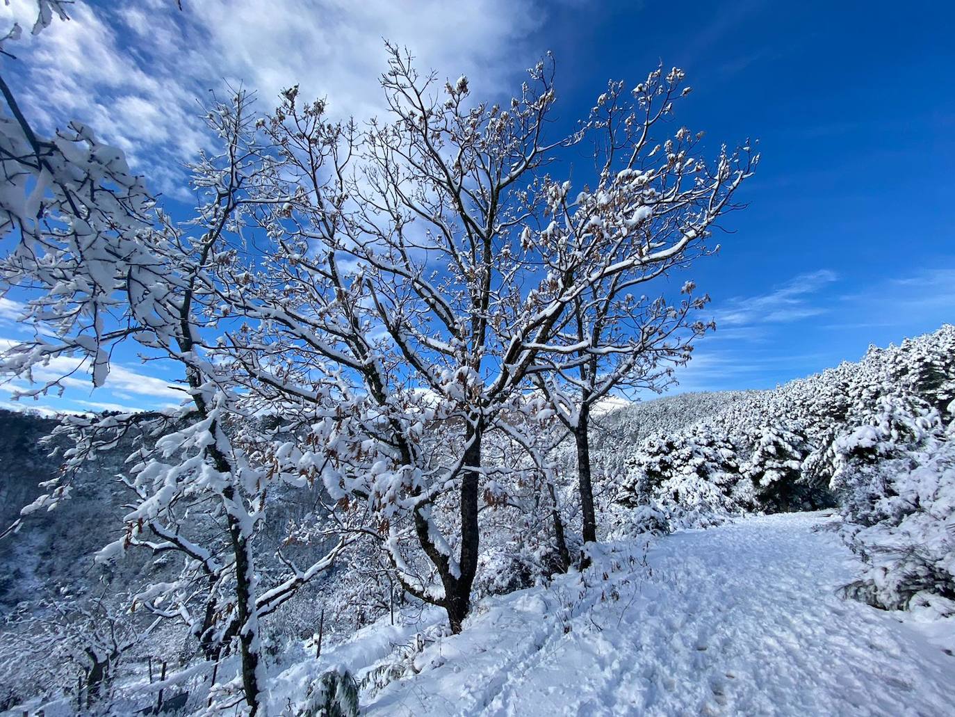 Arco del agua de Guadalupe. 