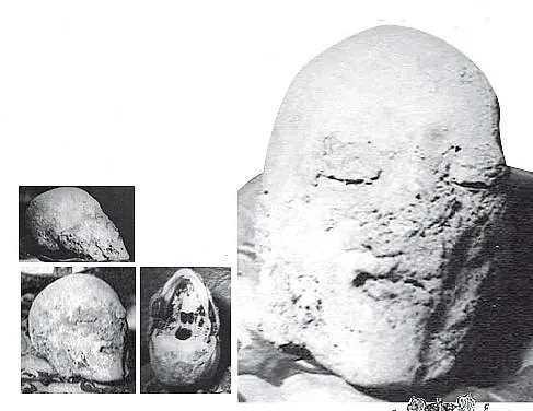 La cabeza de Enrique IV momificada, sin pelo ni cejas