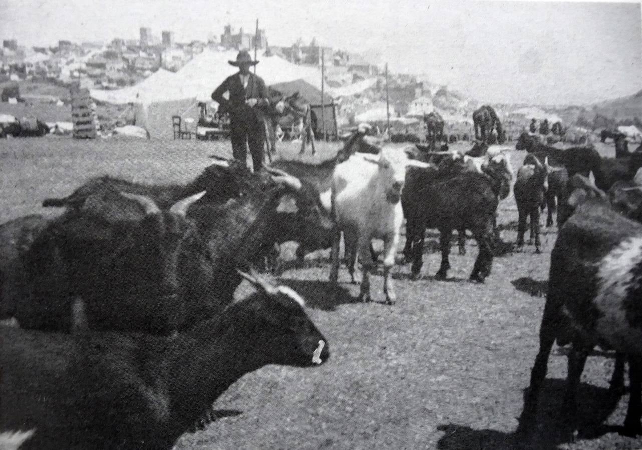 La Feria de Ganado de Cáceres, de la que era un gran defensor el Vizconde, a principios del siglo pasado.