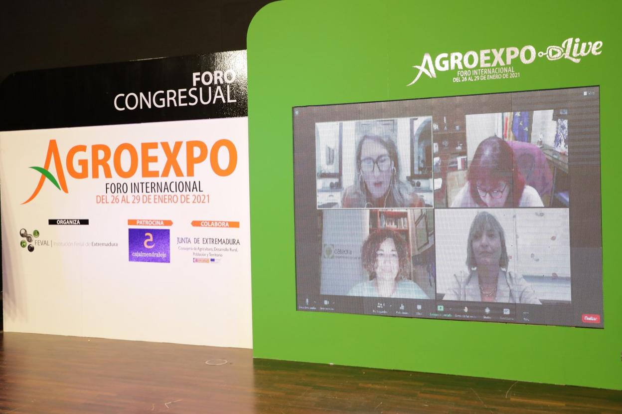 Mesa redonda virtual celebrada este miércoles en Agroexpo. 