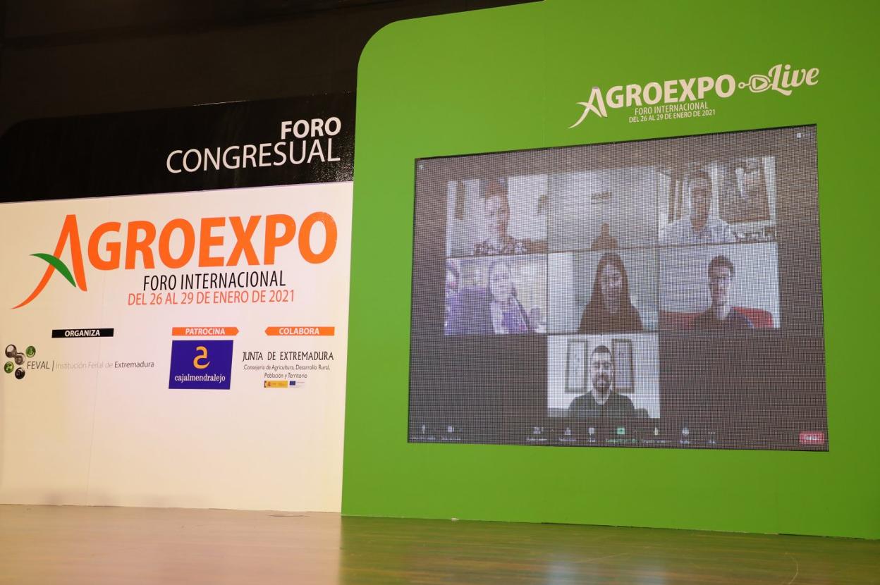 Los cuatros jóvenes premiados, durante su participación en la jornada de ayer. 