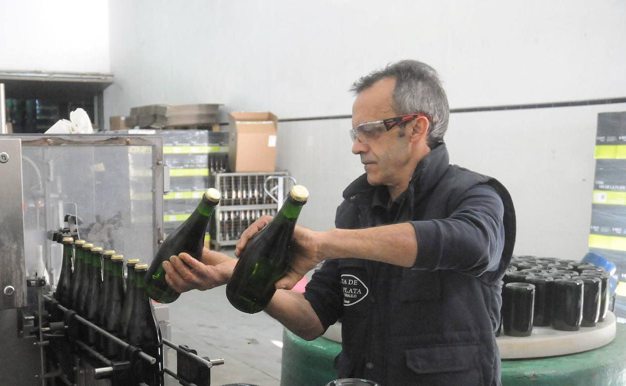 El cava extremeño podrá crecer