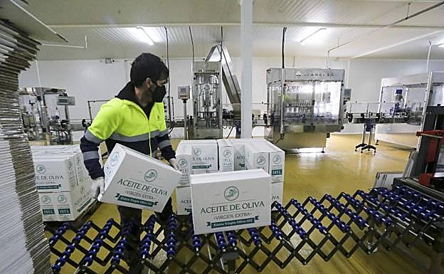 La salida de aceite de oliva a los mercados ha sido especialmente evidente en noviembre y diciembre.