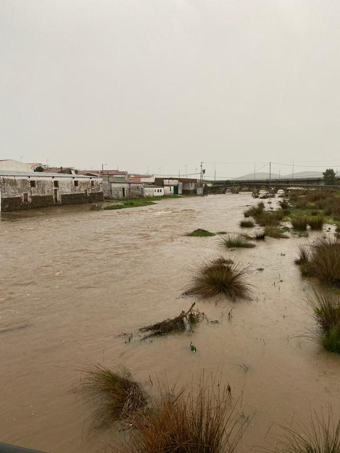 Fotos: La rivera de Alconchel empieza a desbordarse