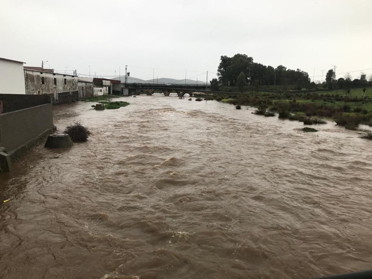 Fotos: La rivera de Alconchel empieza a desbordarse