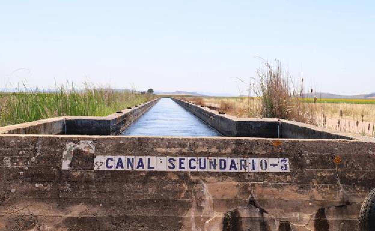 Canal de Orellana anuncia medidas para una campaña en la que contará con una dotación de 460 hectómetros cúbicos