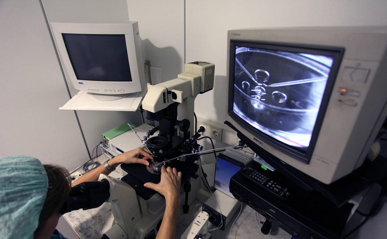 Imagen de un laboratorio de reproducción asistida. 