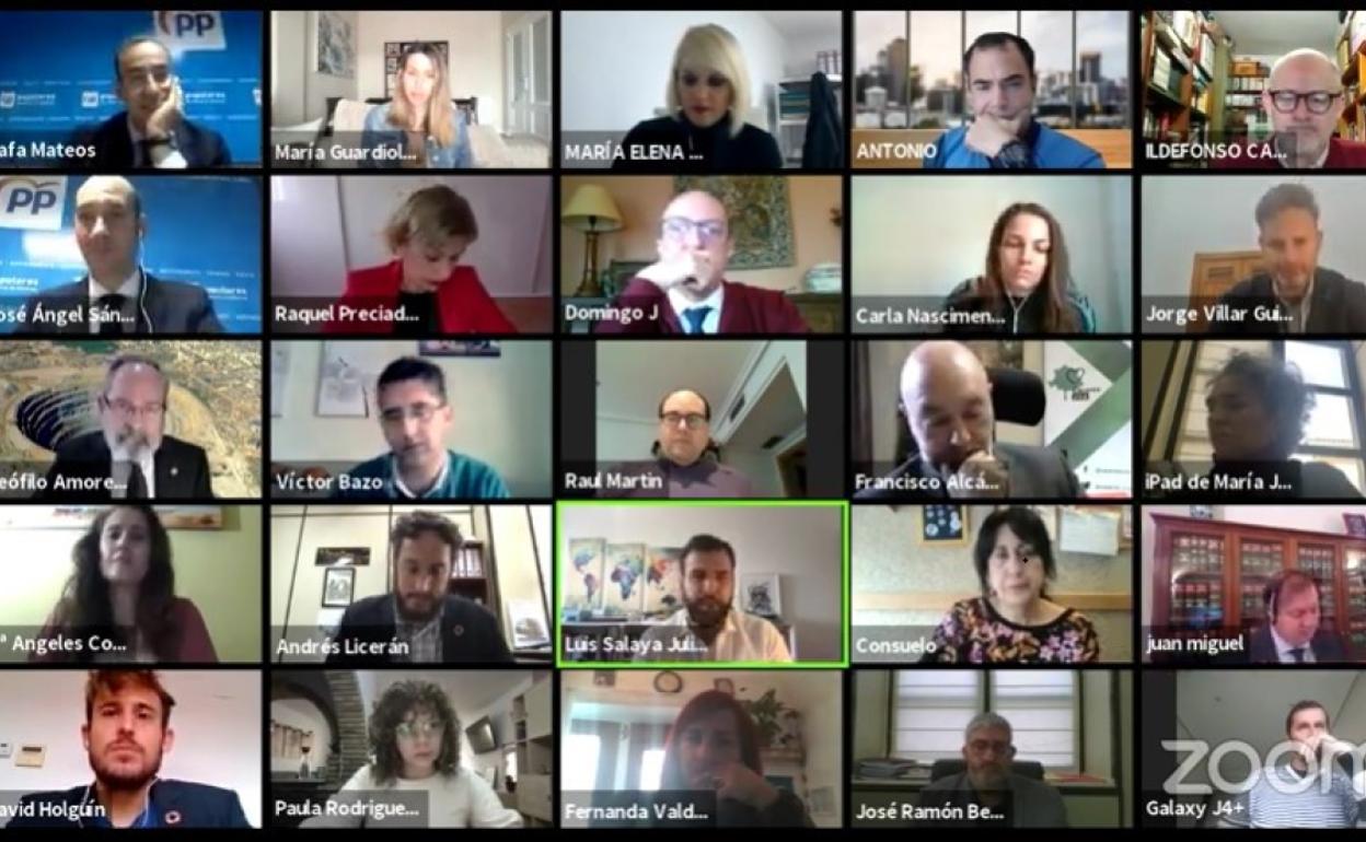 Imagen del pleno, celebrado de forma telemática. 