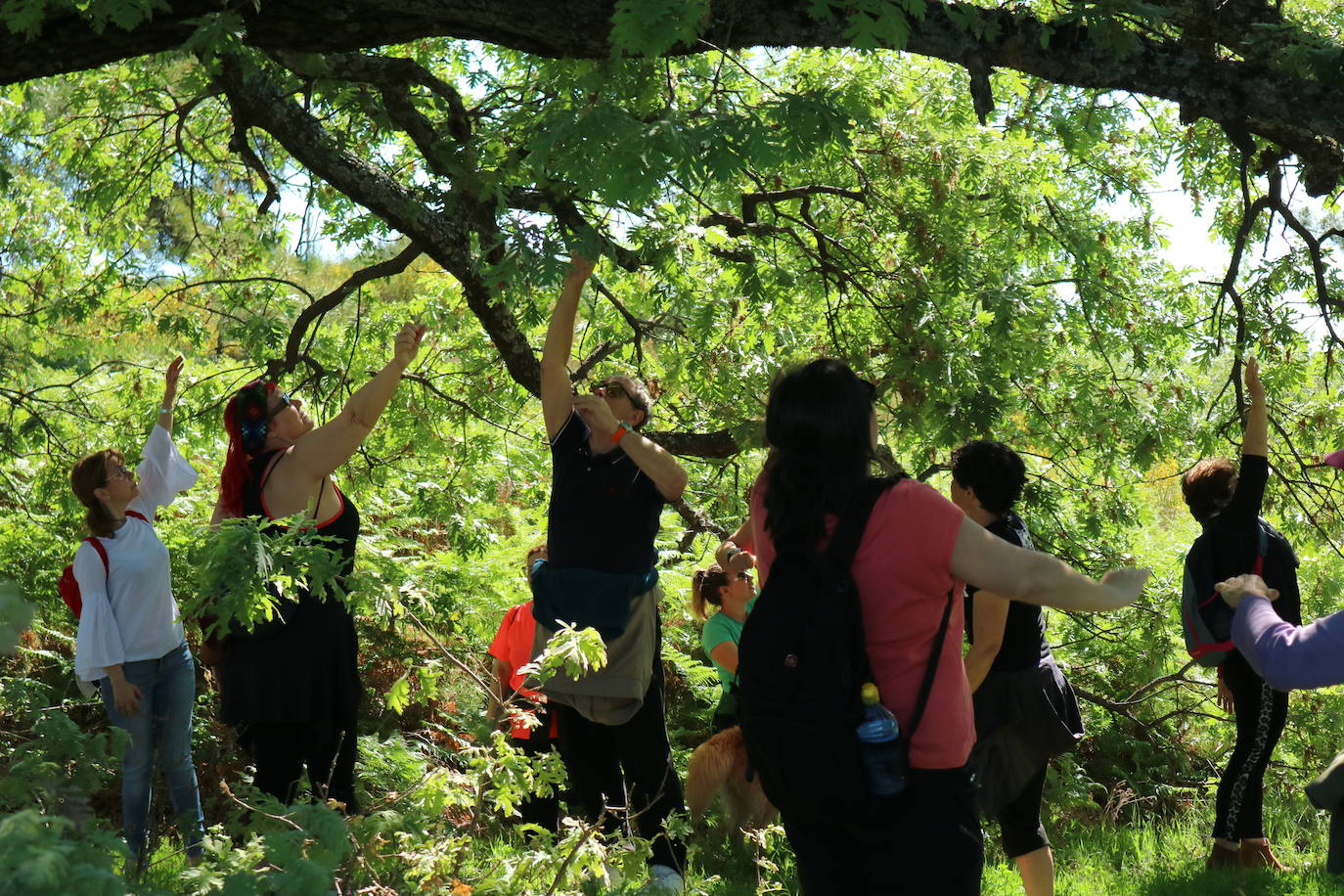 Fotos: De California a Losar de la Vera buscando una vida sostenible