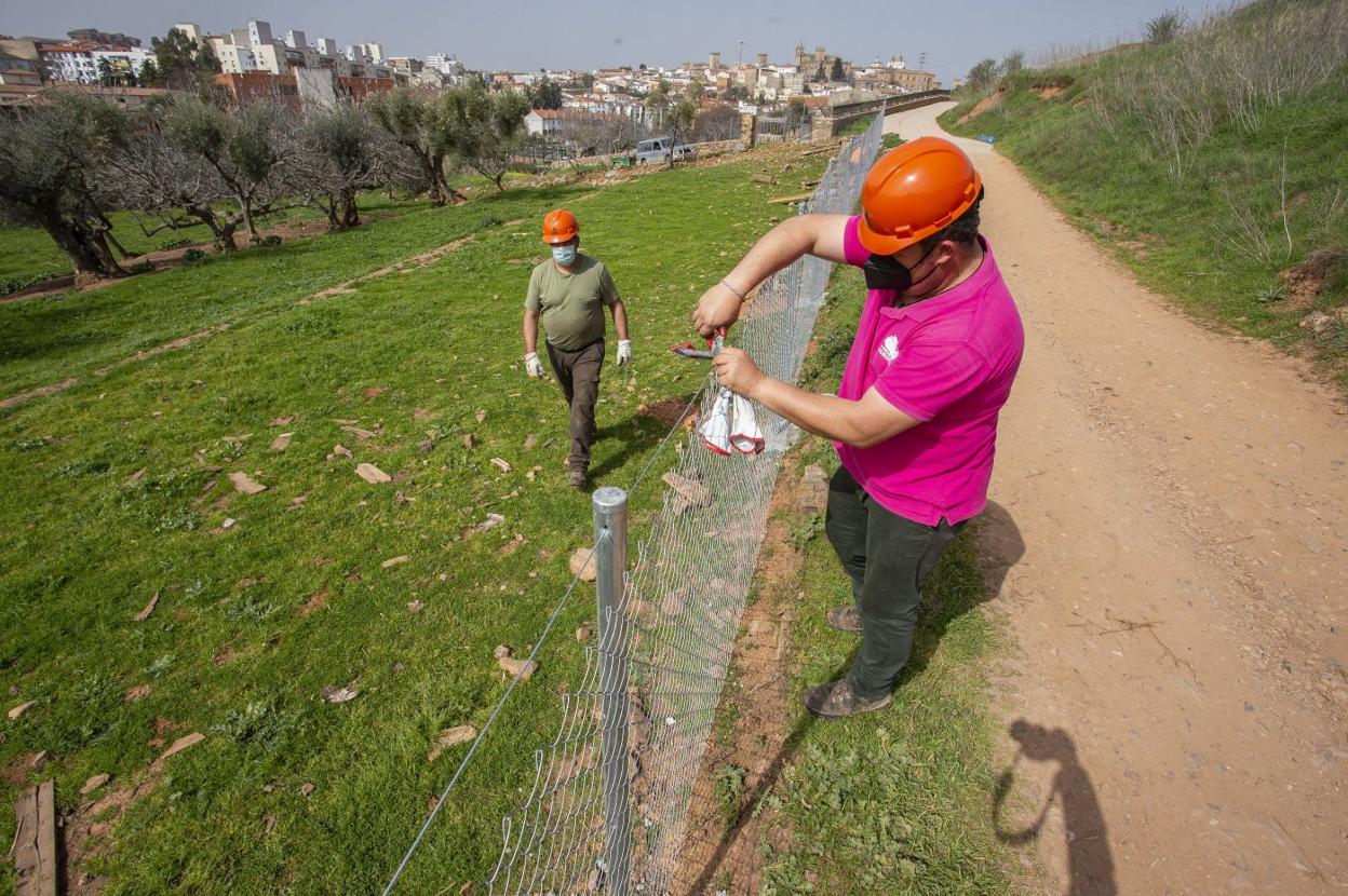 Trabajos en el entorno de Fuente Fría con el cierre perimetral de terrenos. 