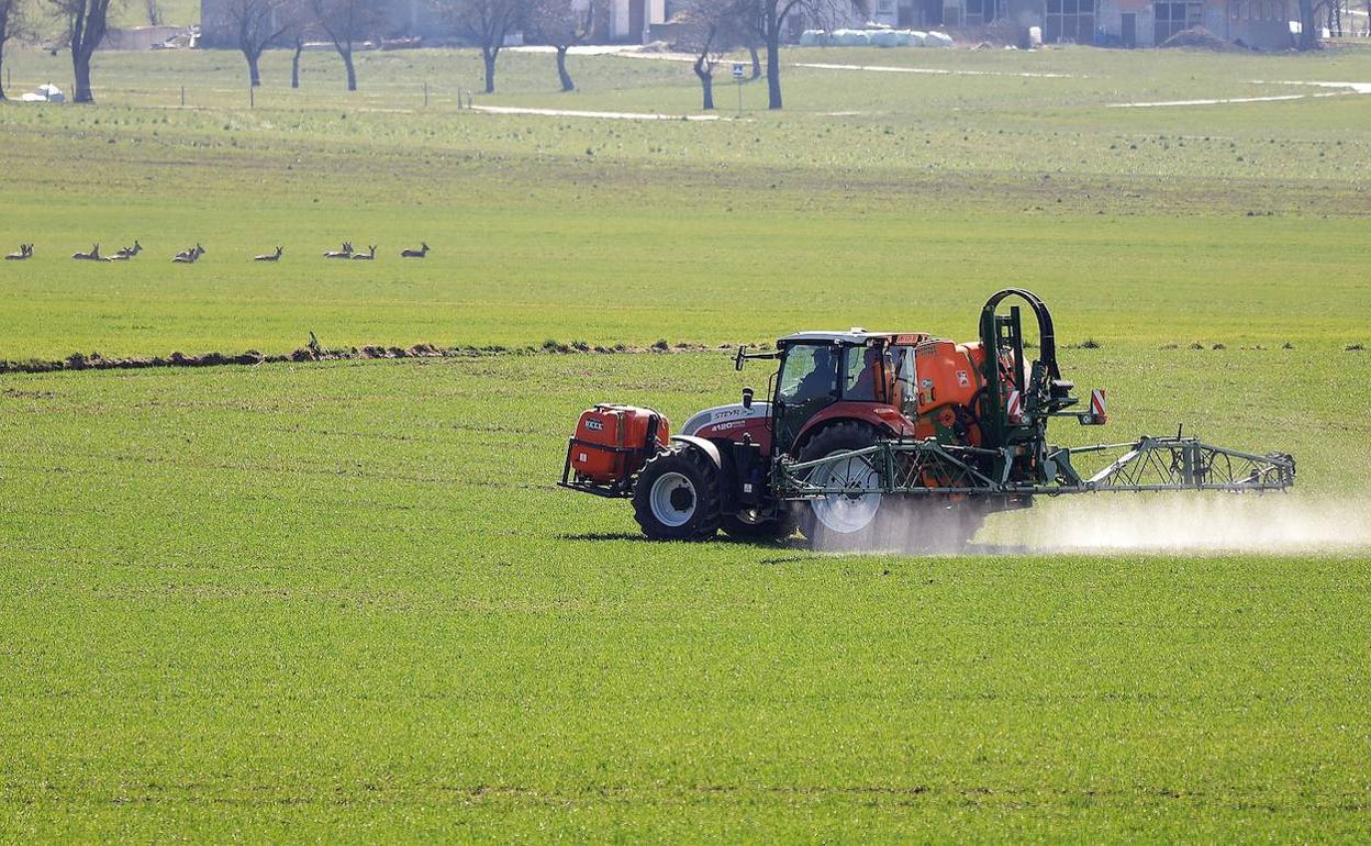 Tractor curando un terreno