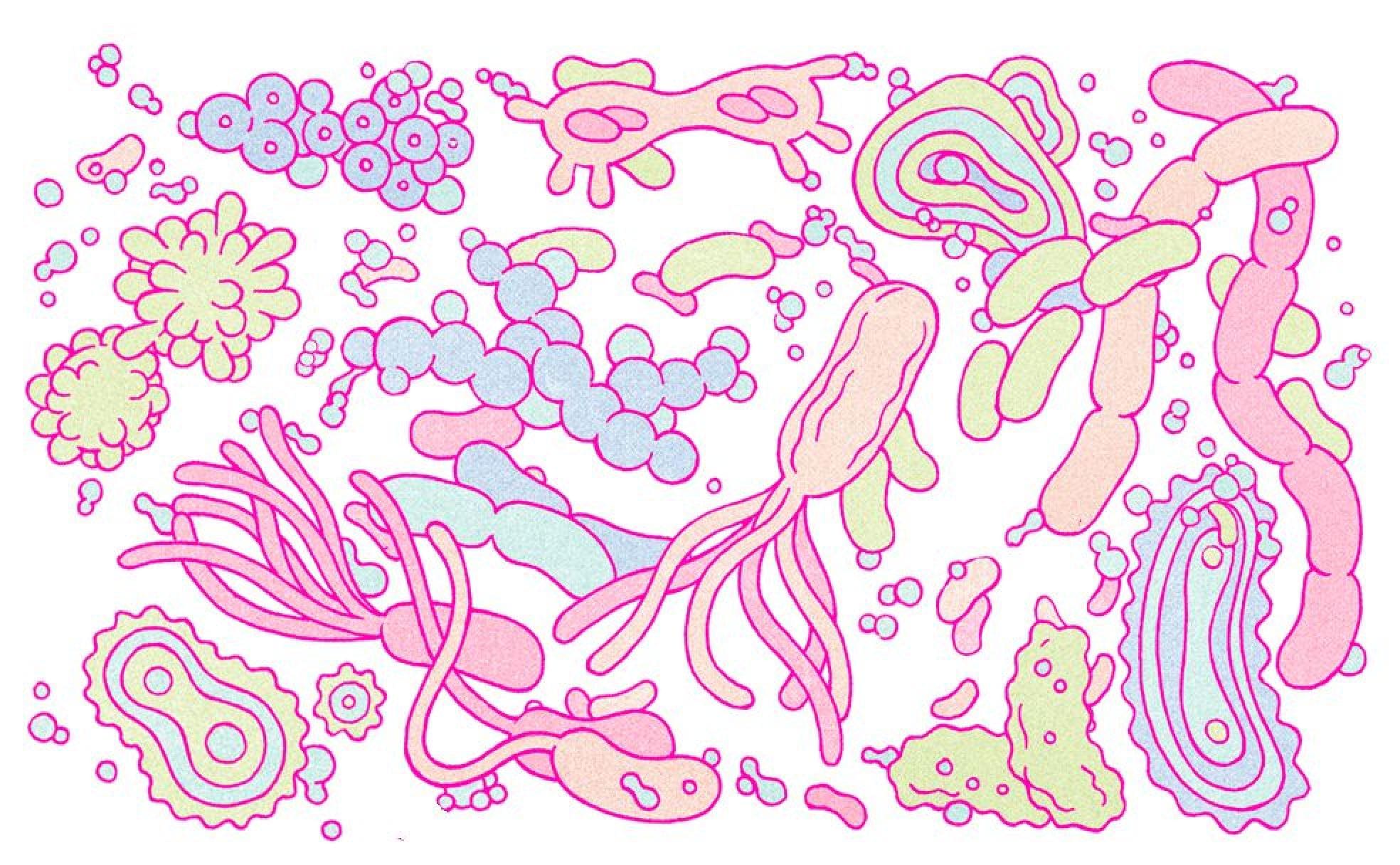 Microbiota: todo lo que las bacterias puedan hacer por la salud