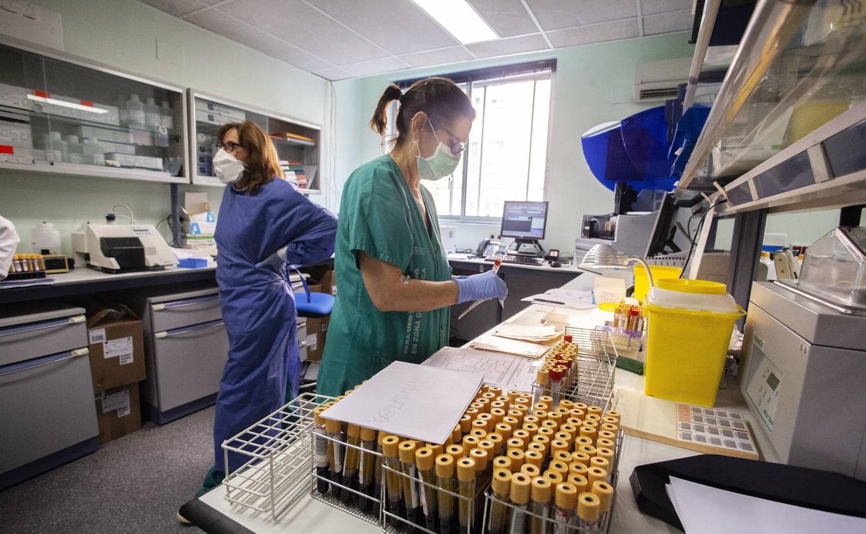 Análisis de pruebas de coronavirus en el Hospital San Pedro de Alcántara de Cáceres el año pasado. 