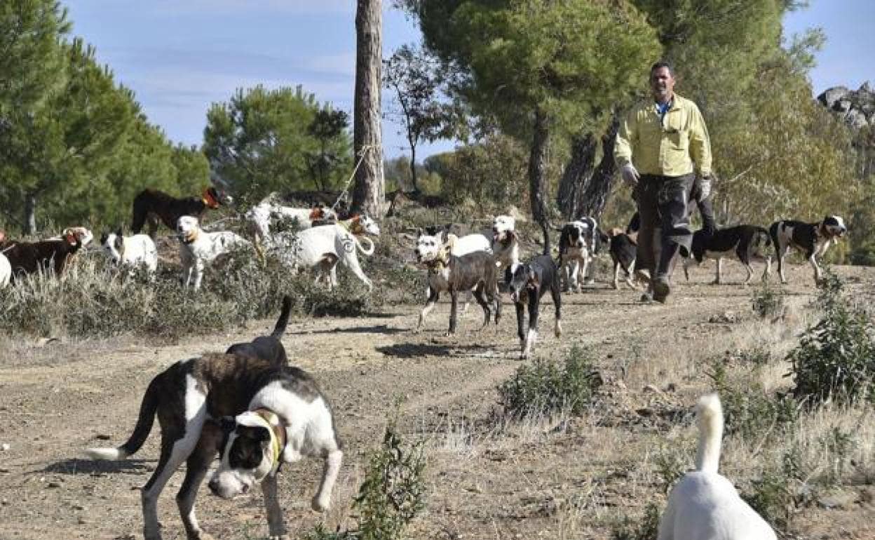 Extremadura inicia el expediente para declarar la montería y la rehala como Bien de Interés Cultural