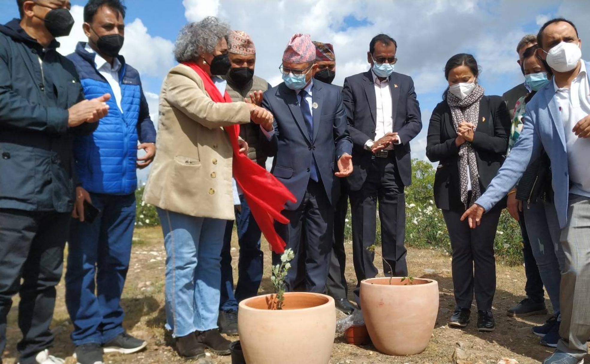 Plantación de un esqueje de Pipal nepalí y de una encina para simbolizar el inicio del proyecto. 