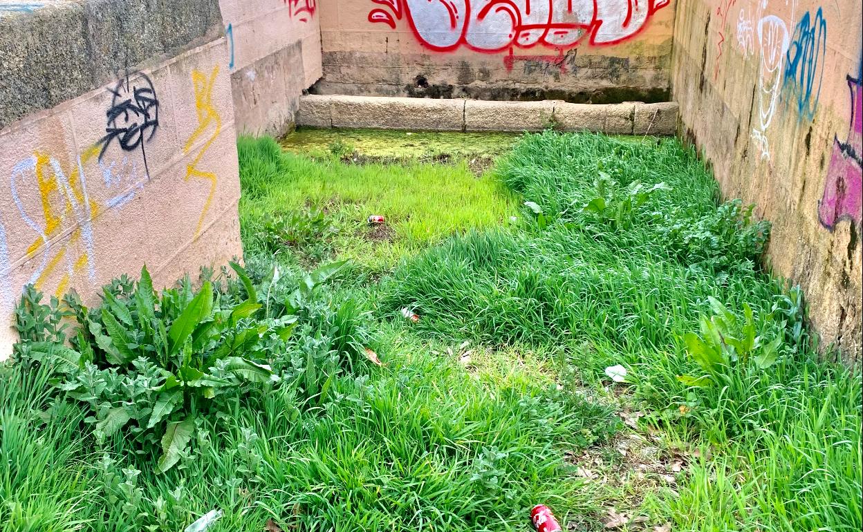 Botellas y envases de bebidas en la fuente. 