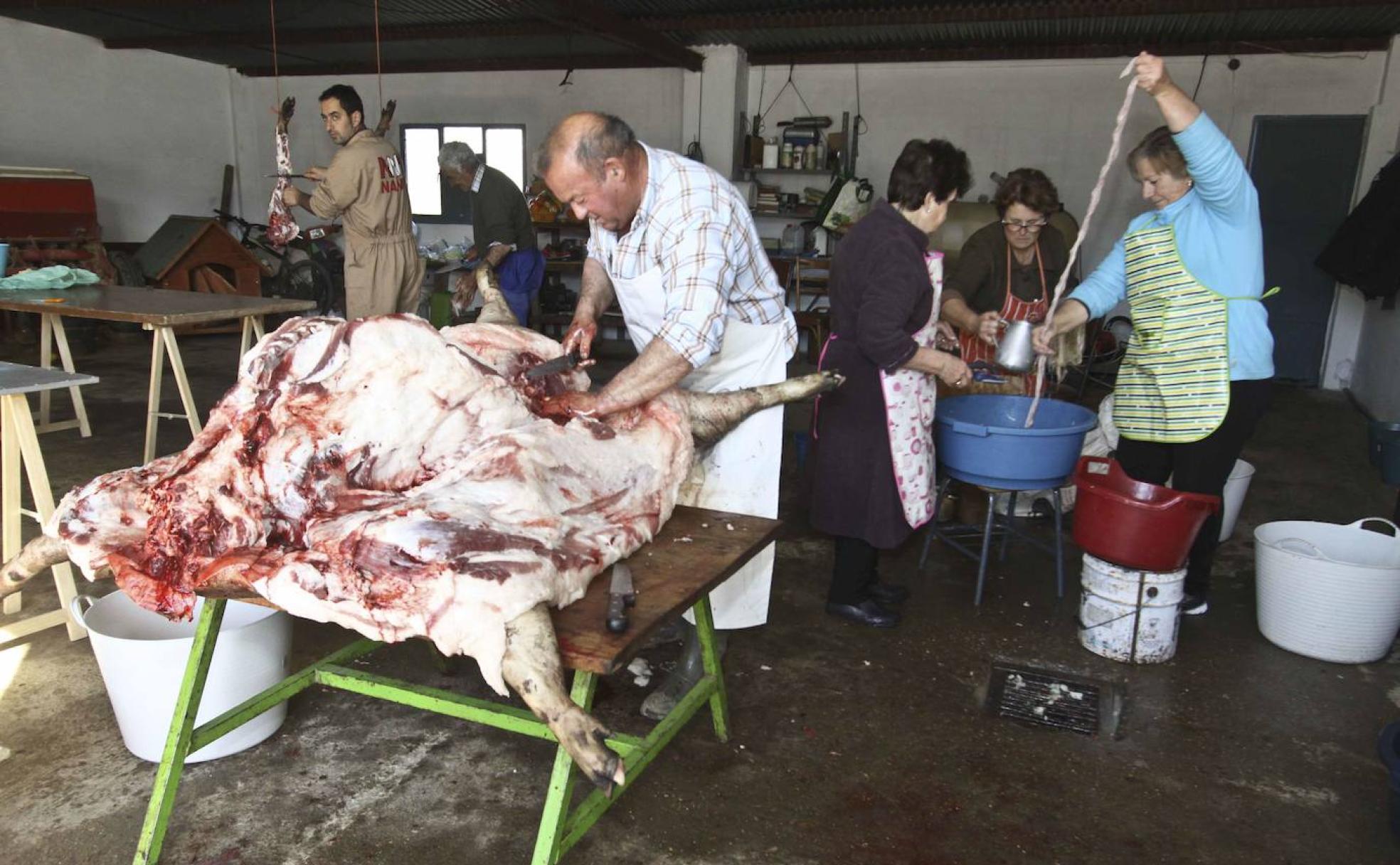 Matanza extremeña, origen de platos que asustan. 