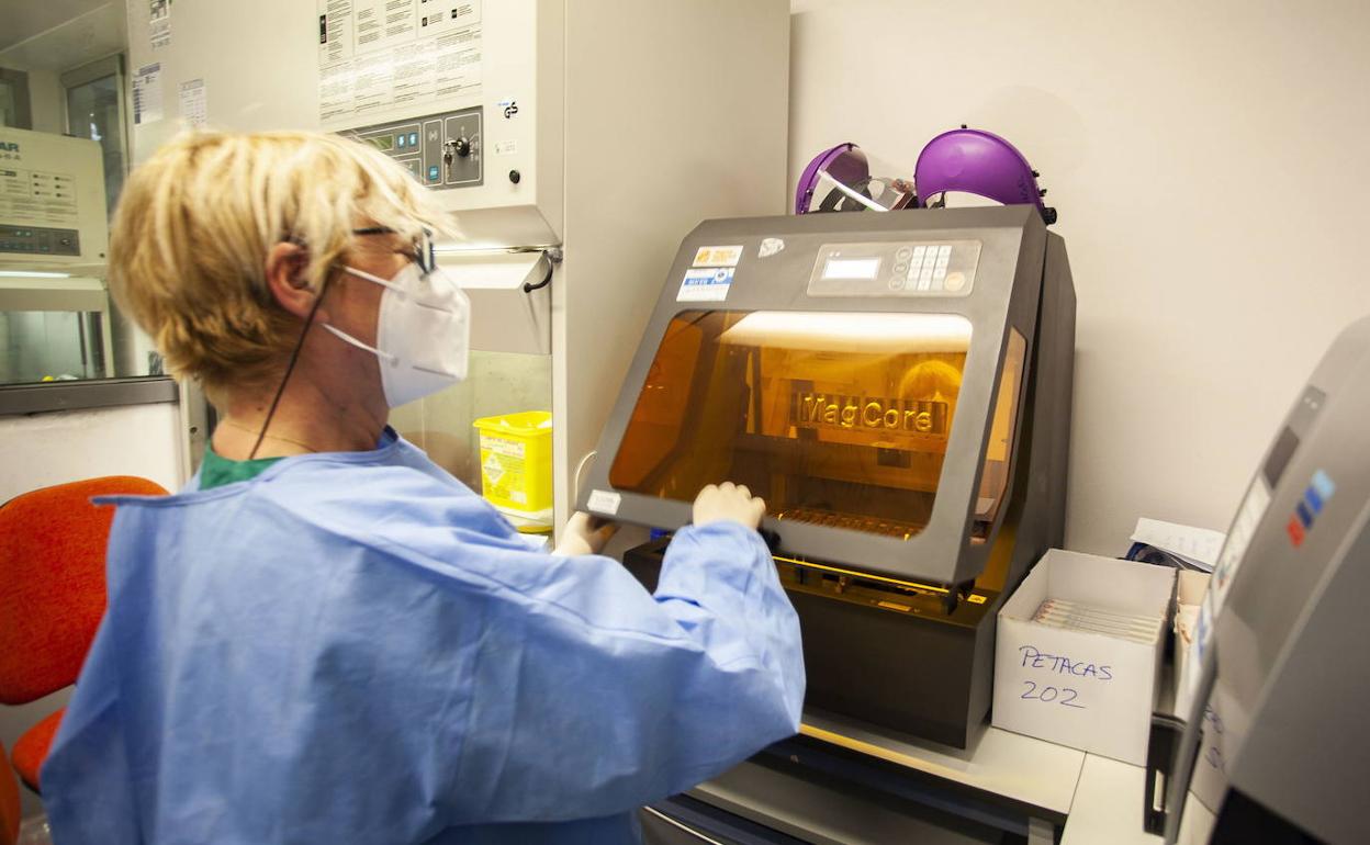 Covid en Extremadura: La incidencia del coronavirus vuelve a bajar y se sitúa en los 134 casos por 100.000 habitantes