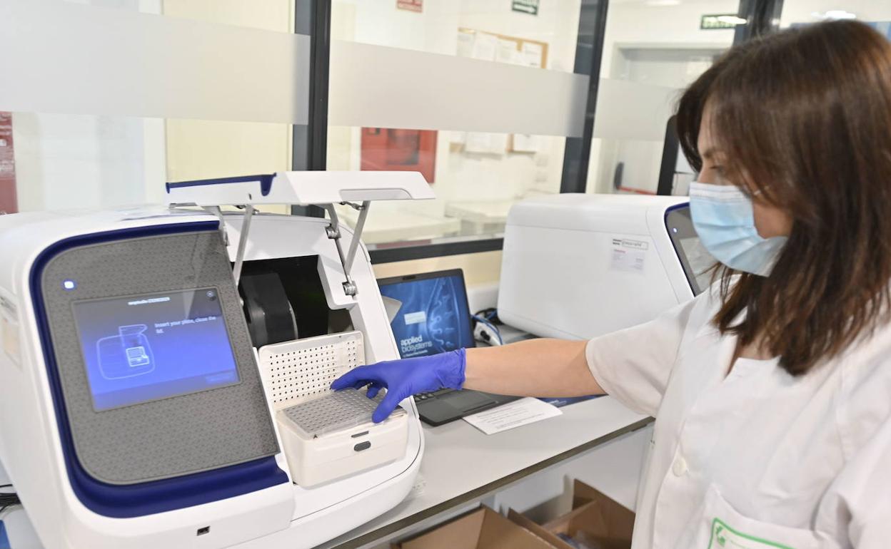 Proceso de secuenciación en el laboratorio del Hospital Universitario de Badajoz, donde se están analizando las muestras del brote de los esquiladores.