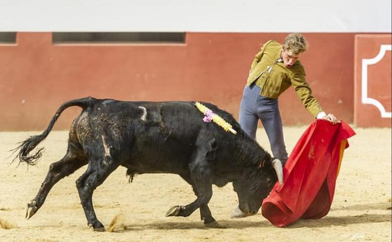 Pedro Herrera, alumnos de la escuela taurina Sevilla-Amate 