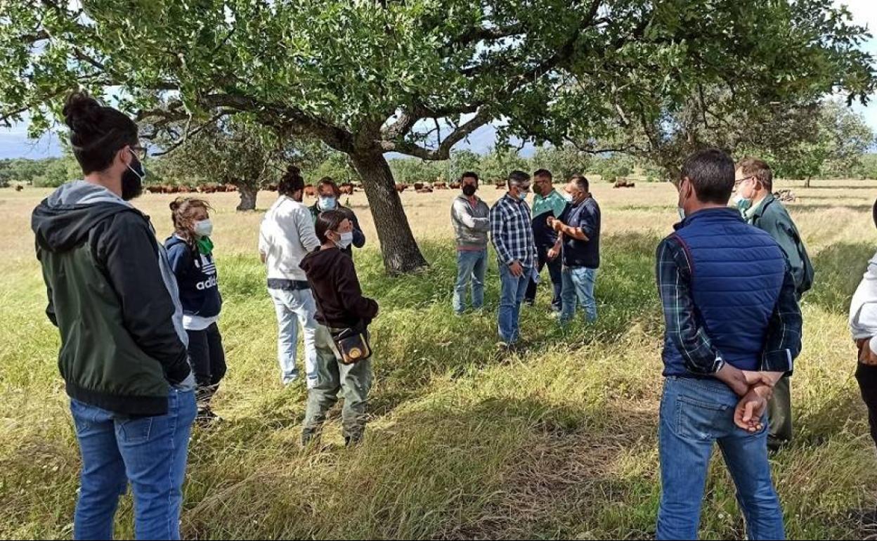 Jóvenes durante la formación en la dehesa.