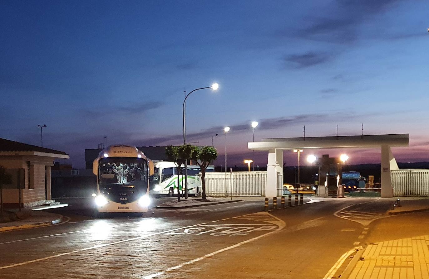 Fotos: Regresa de Mali un contingente de militares extremeños