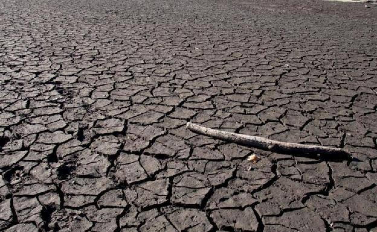 La ONU: «La humanidad lleva a cabo una guerra incansable y autodestructiva contra la naturaleza»