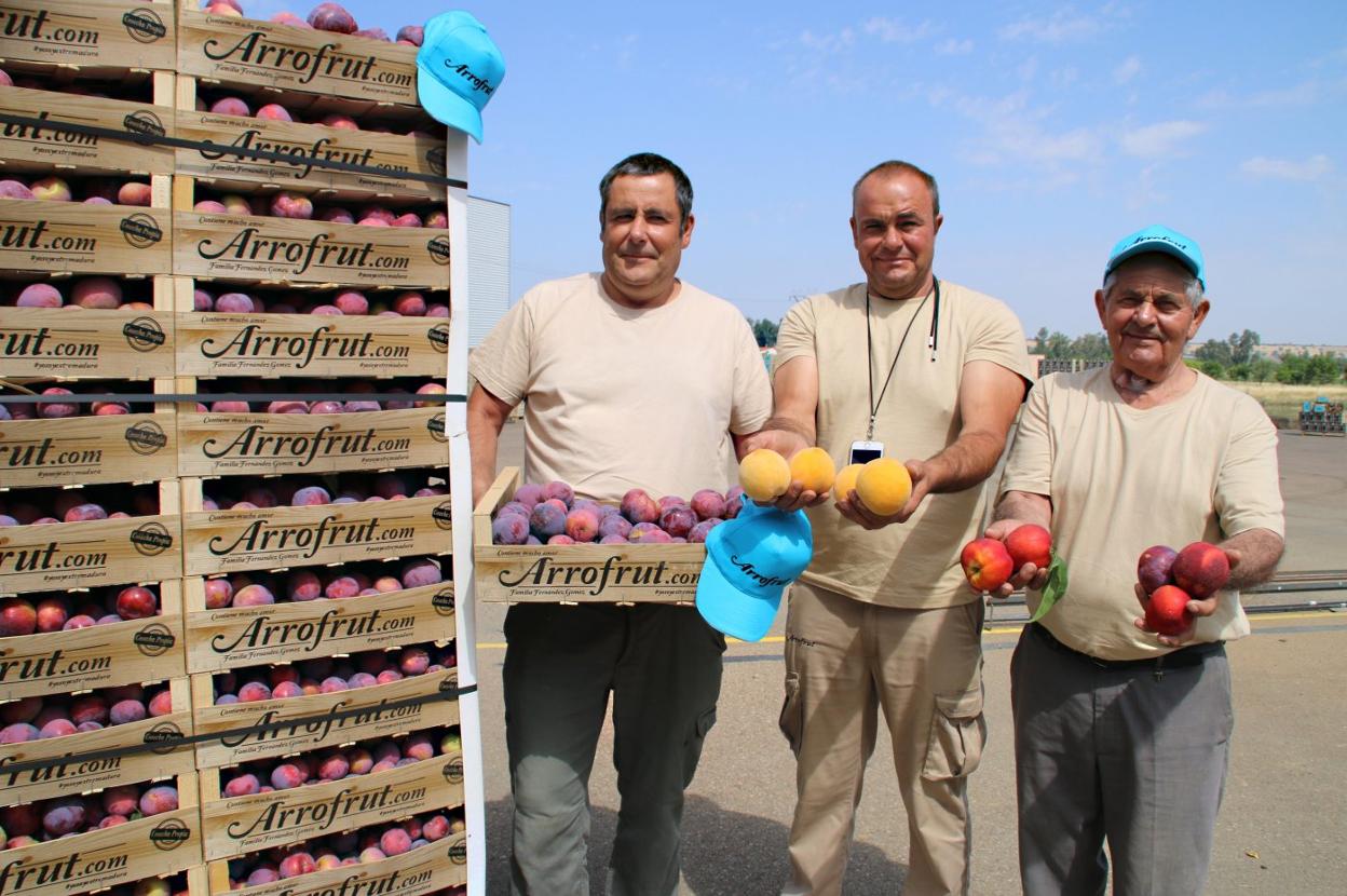 Gregorio, Ramón y Óscar Fernández muestran su producción de fruta actual. 