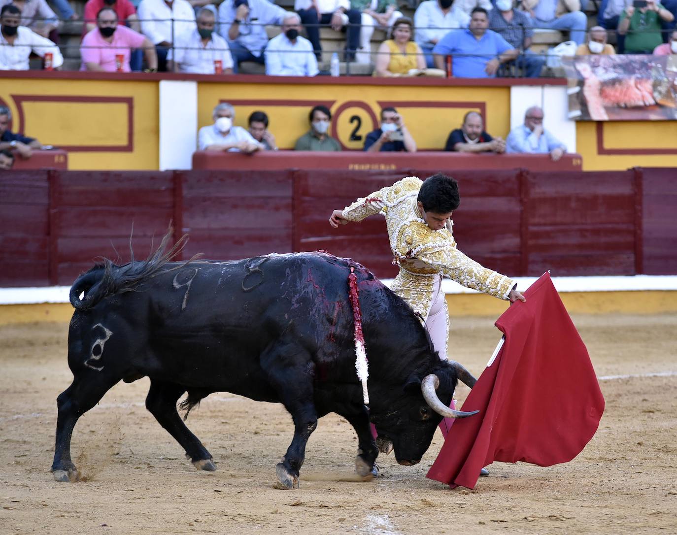 Fotos: Los mejores momentos de la feria taurina de Badajoz en imágenes