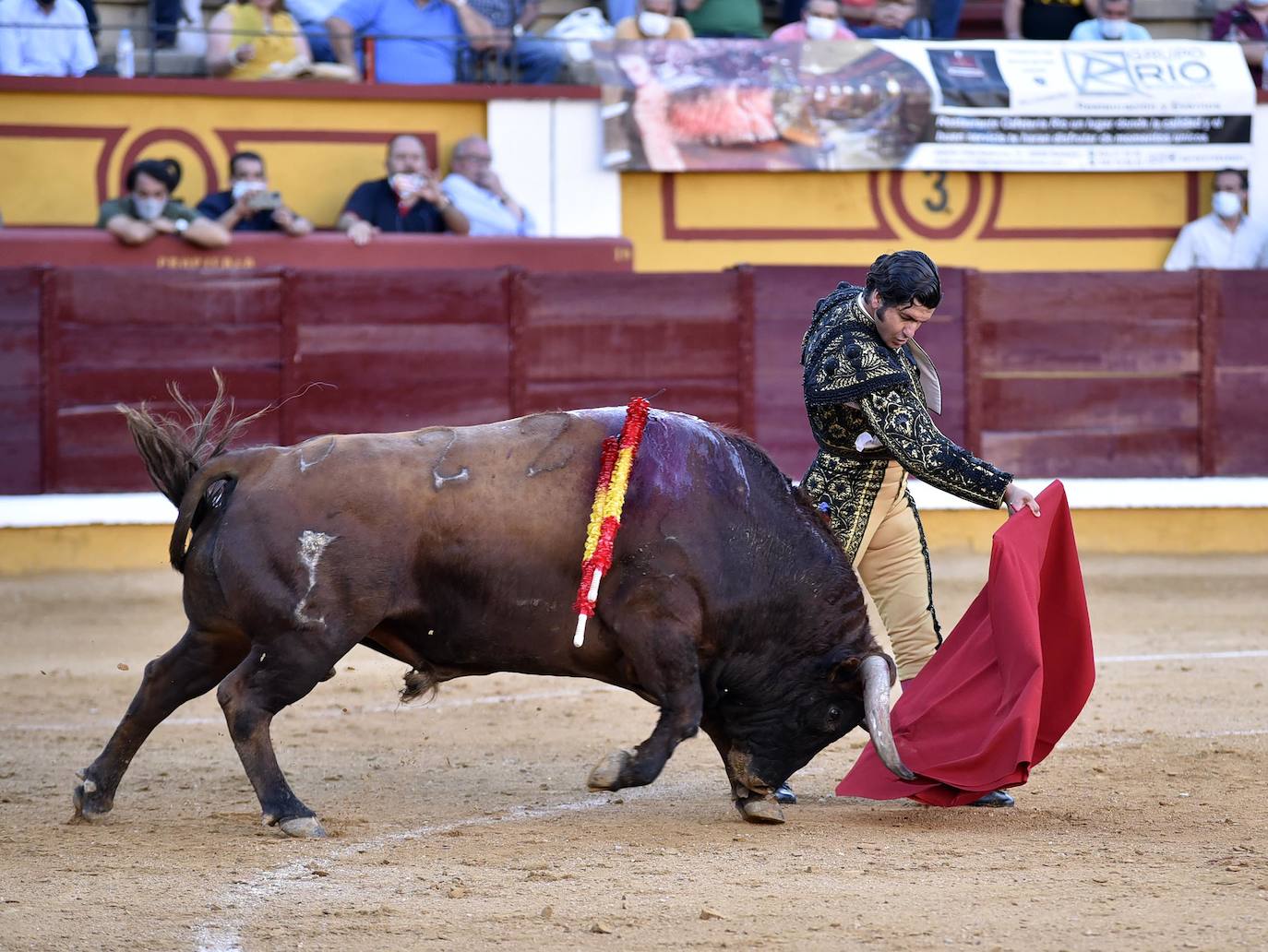 Fotos: Los mejores momentos de la feria taurina de Badajoz en imágenes